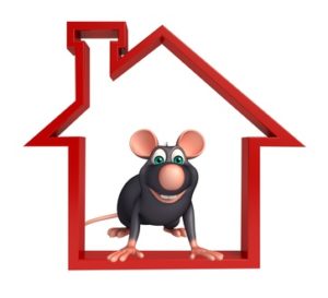 3d rendered illustration of Rat cartoon character with home sign